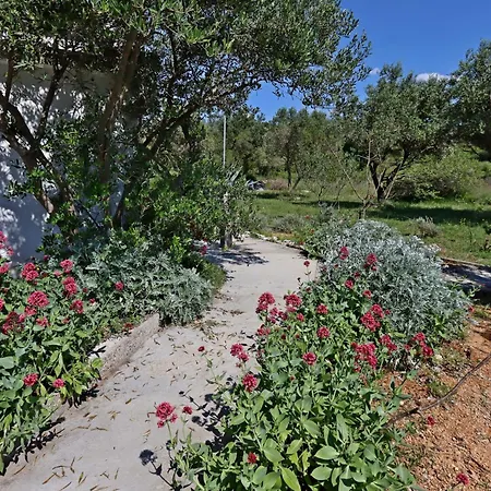 Barbat 14247c Appartement